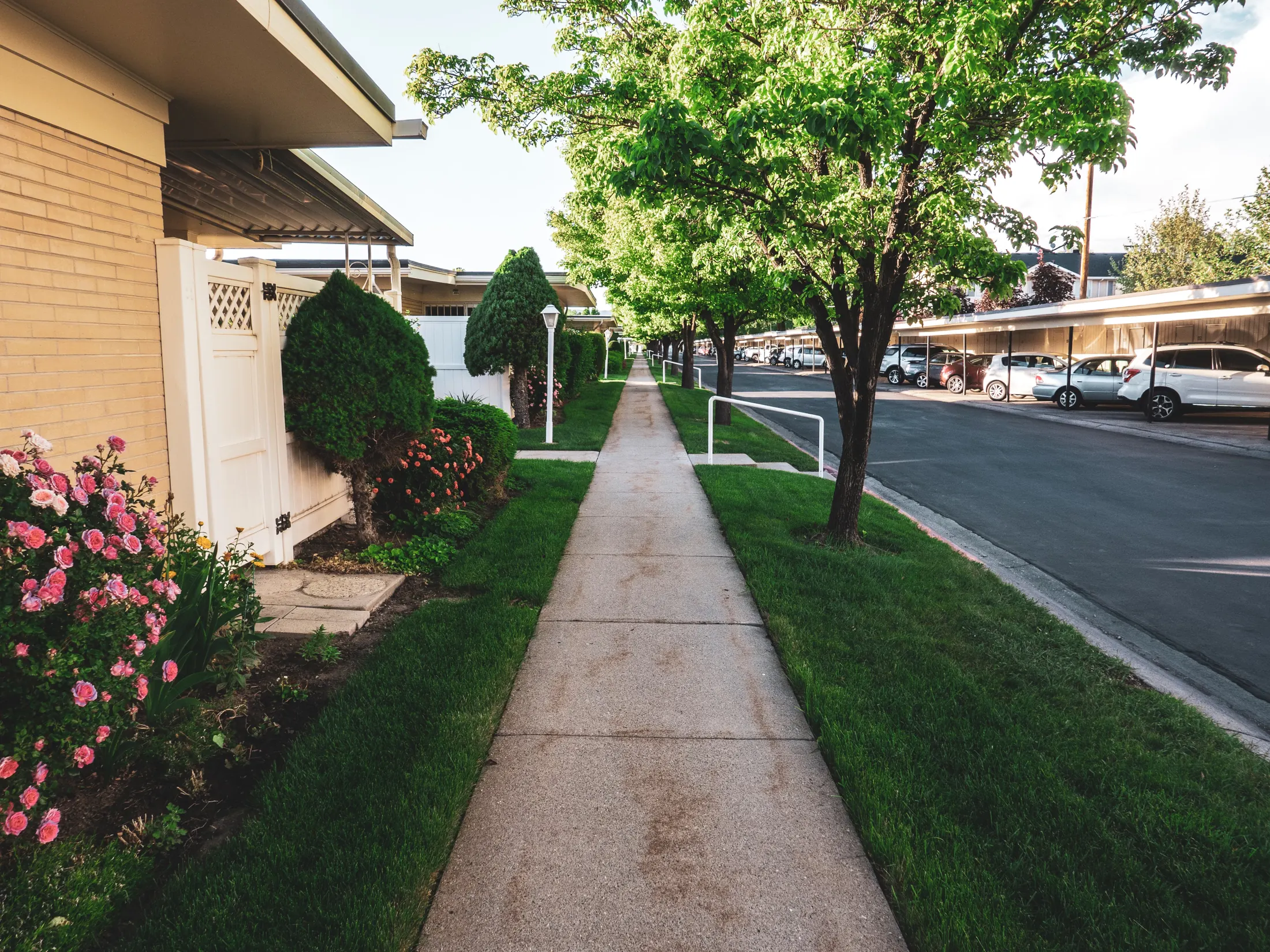 A residential street lined with mature trees, typical of Reno and Sparks neighborhoods